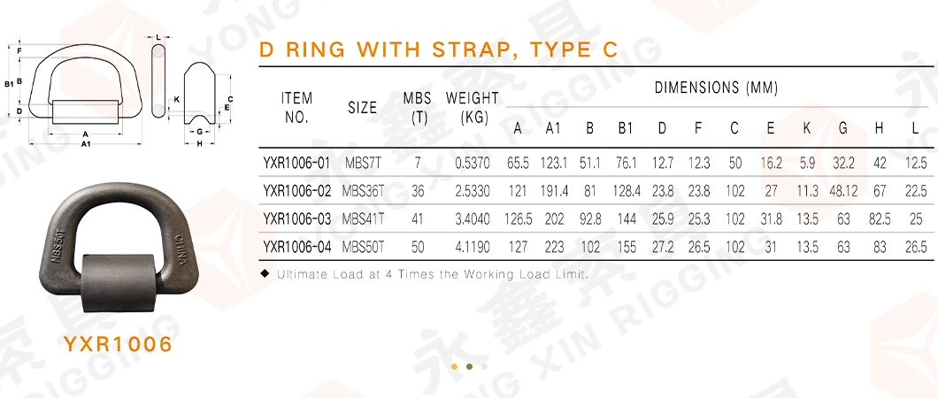 Sea Container Lashing Part Forged D-Ring with Welded Clamp